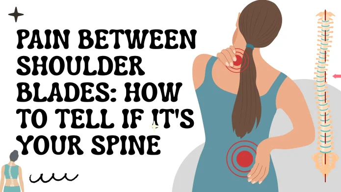 Spinal Thoracic